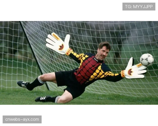 “通讯：门将的传承，皮克福德在古迪逊公园的第三百场”